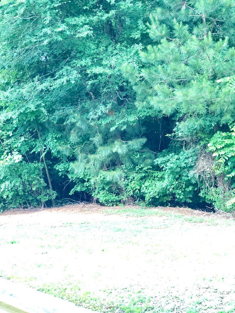 730 Waverly Point Macon, GA 31210 - Photo 1 of 1 Primary Photo