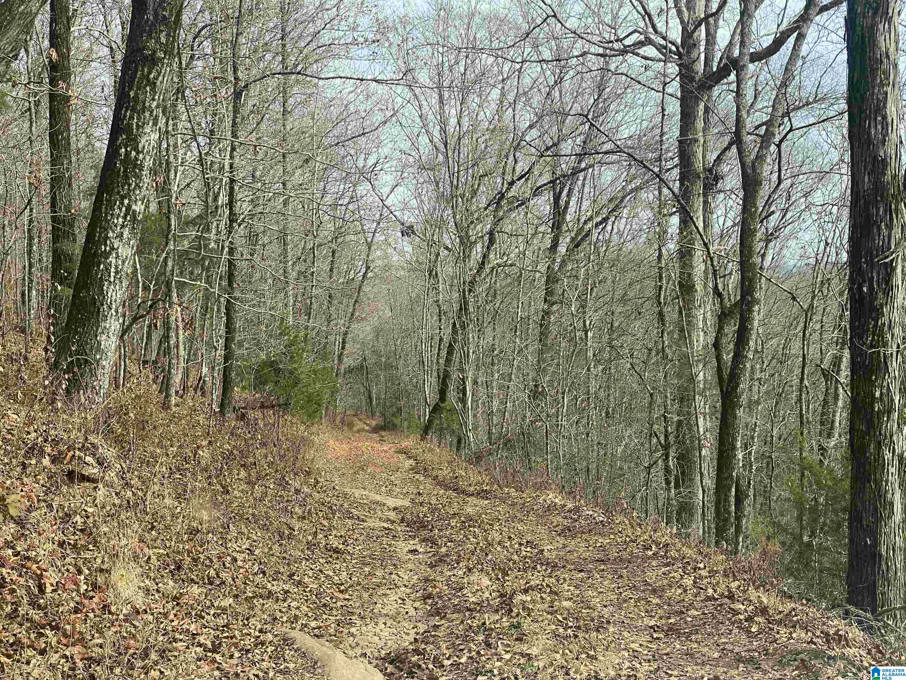 543 Young Road Remlap, AL 35133 - Photo 41 of 46