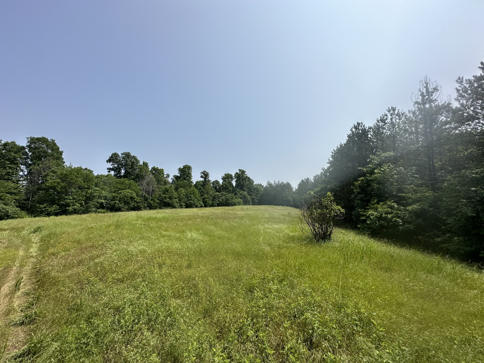 0 Bakerville Road, Waverly, TN 37185 Compass