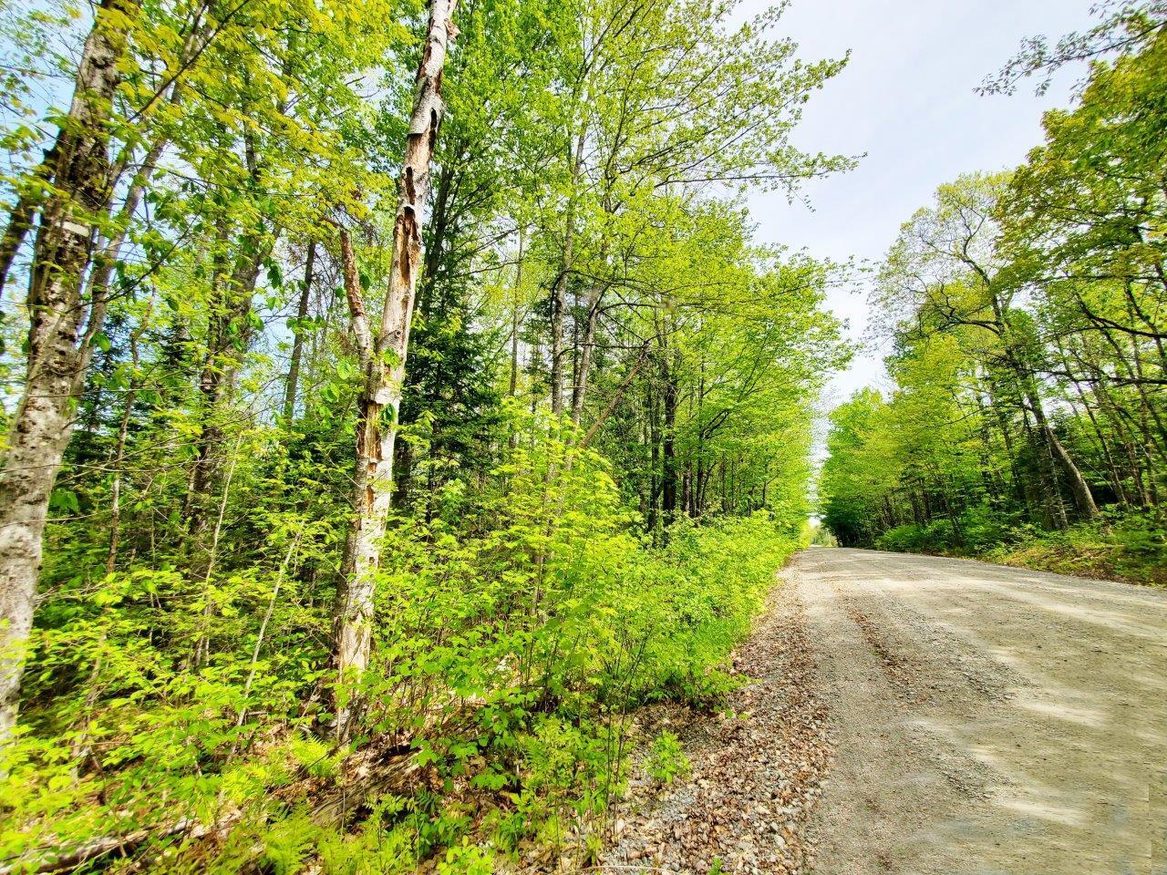 Lot 3 Maple Road Milo, ME 04463 - Photo 21 of 22 20260523_141140 adj