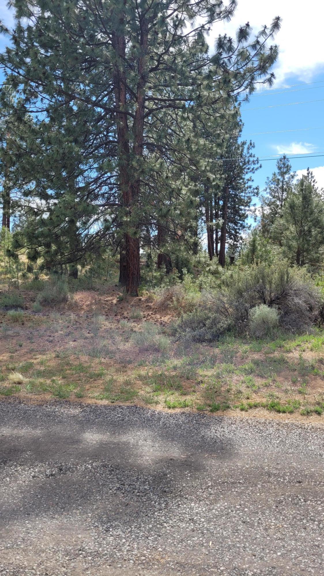 19724 Buck Canyon Road Bend, OR 97702 - Photo 29 of 38 Beautiful large trees