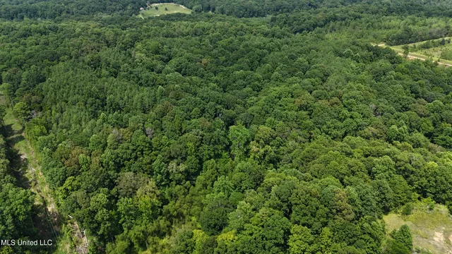 $105,750 | Pine Bluff Road, Cruger, MS 38924