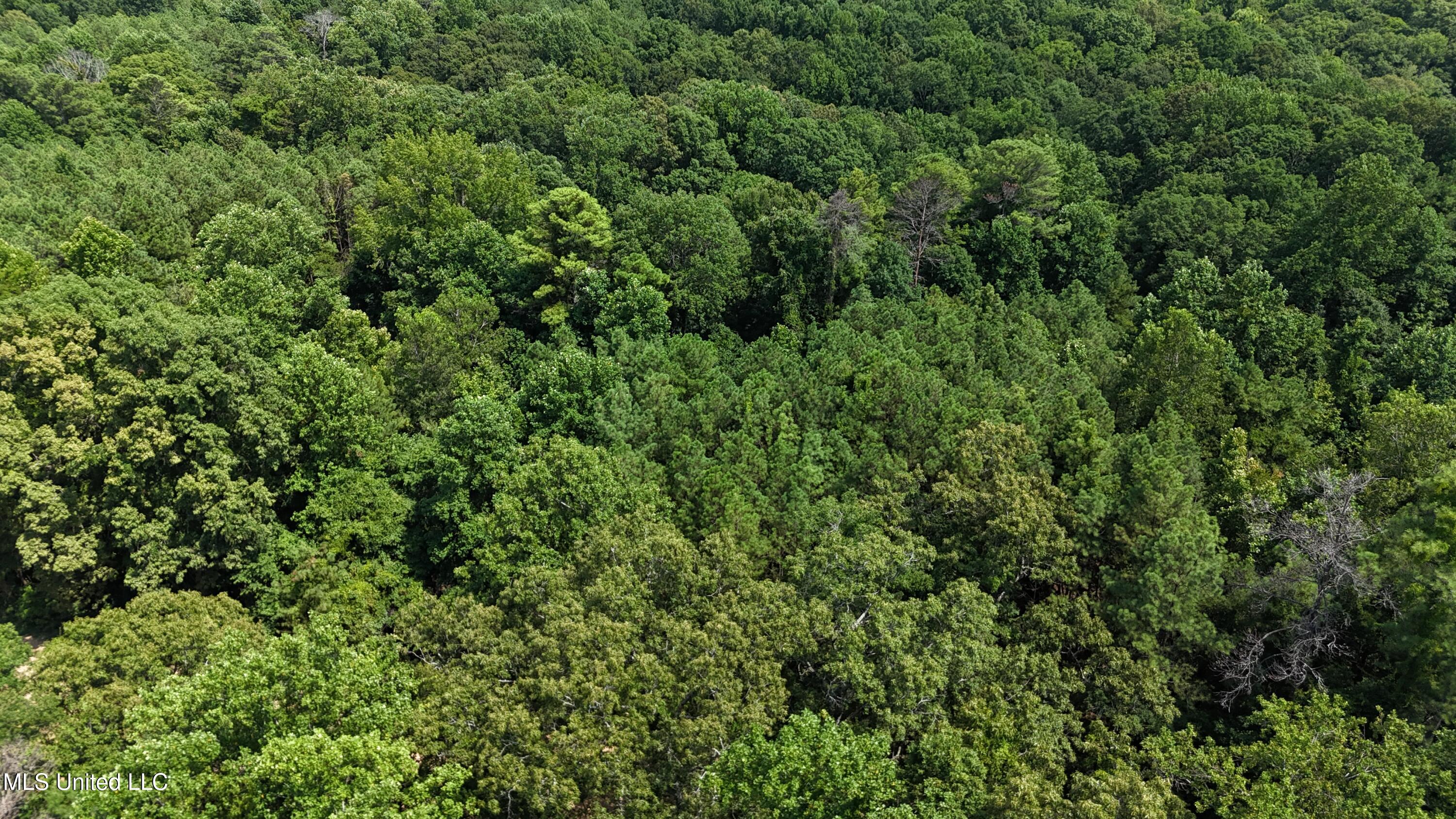 Pine Bluff Road Cruger, MS 38924 - Photo 2 of 8 dji_fly_20240712_150158_0129_17208147204