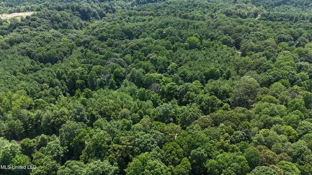 $105,750 | Pine Bluff Road, Cruger, MS 38924