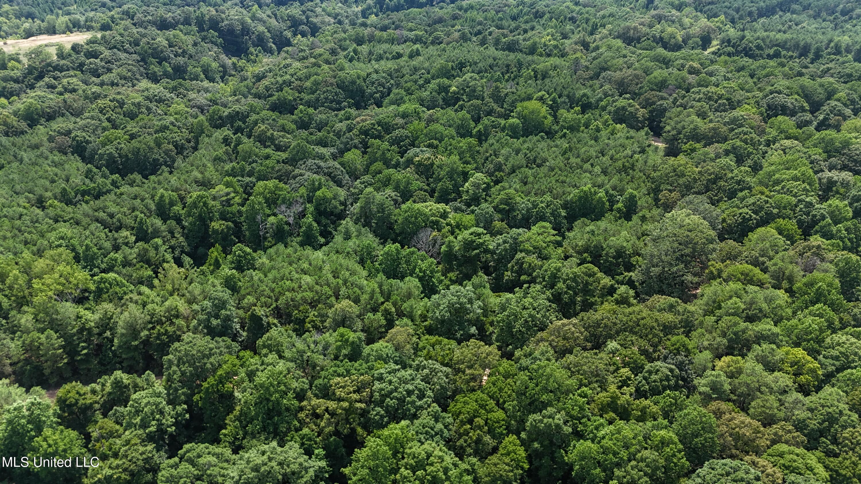 Pine Bluff Road Cruger, MS 38924 - Photo 3 of 8 dji_fly_20240712_150304_0130_17208147227