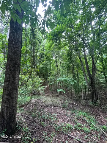 $105,750 | Pine Bluff Road, Cruger, MS 38924