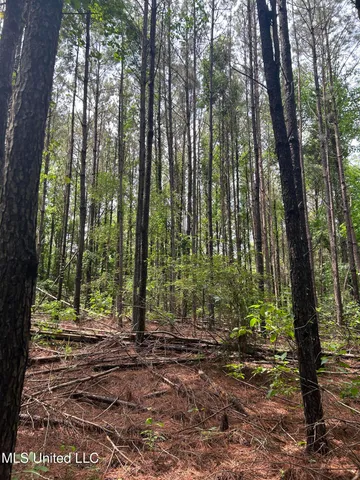 $105,750 | Pine Bluff Road, Cruger, MS 38924