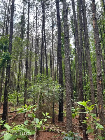 $105,750 | Pine Bluff Road, Cruger, MS 38924