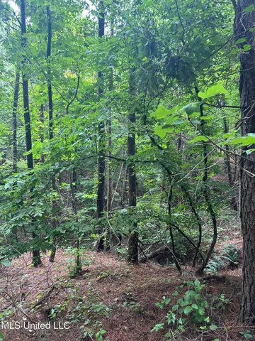 $105,750 | Pine Bluff Road, Cruger, MS 38924