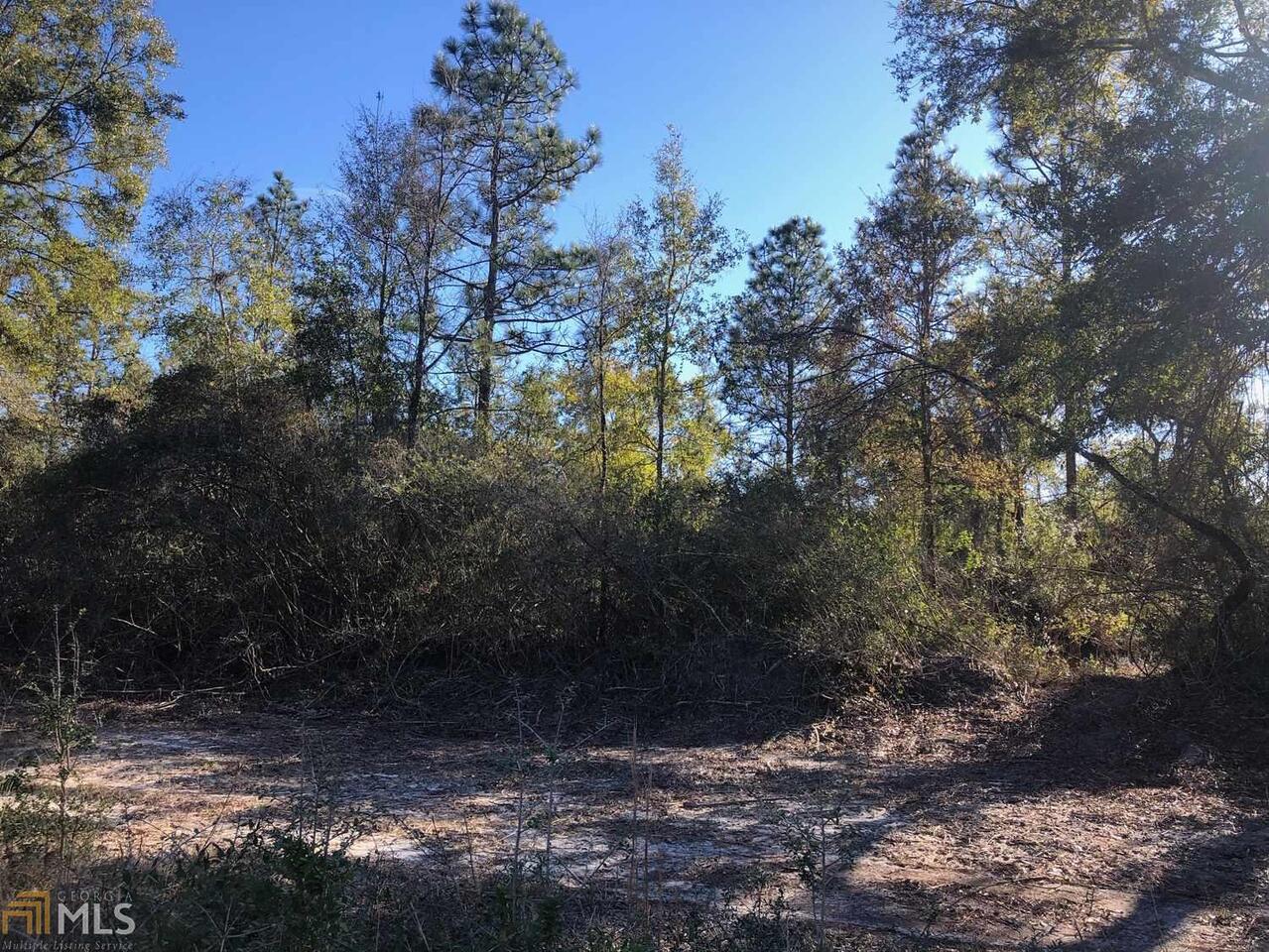 0 Ham Road, Unit LOT 3 Nahunta, GA 31553 - Photo 1 of 1 Gallery Image 1