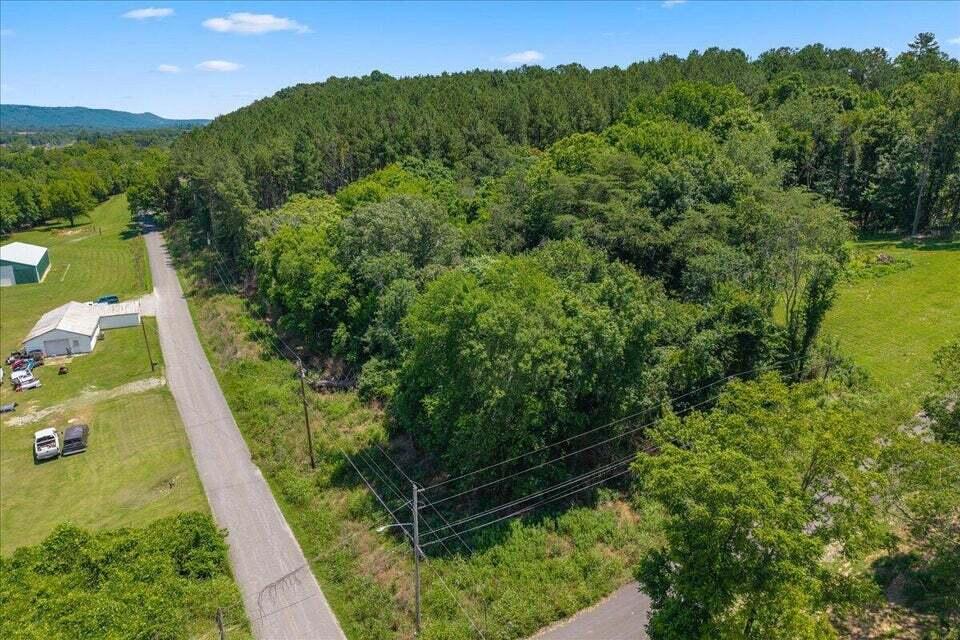 23-24 Hinch St Spring Spring City, TN 37381 - Photo 11 of 15 20260623164800427629000000-o