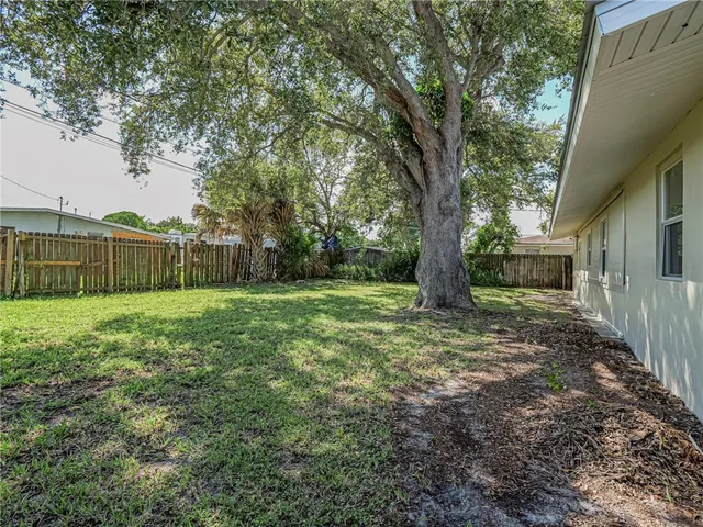a view of a yard with a large tree