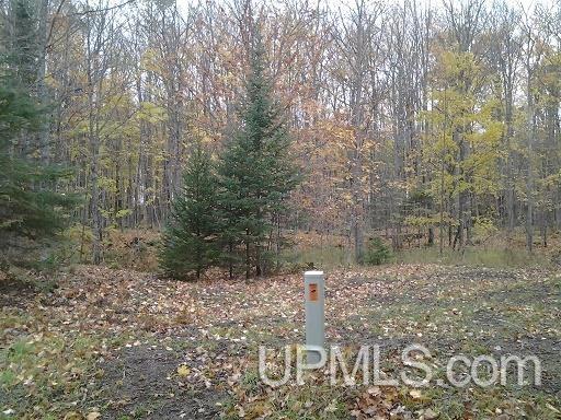 Tbd Whitefish Road Chatham, MI 49816 - Photo 28 of 30