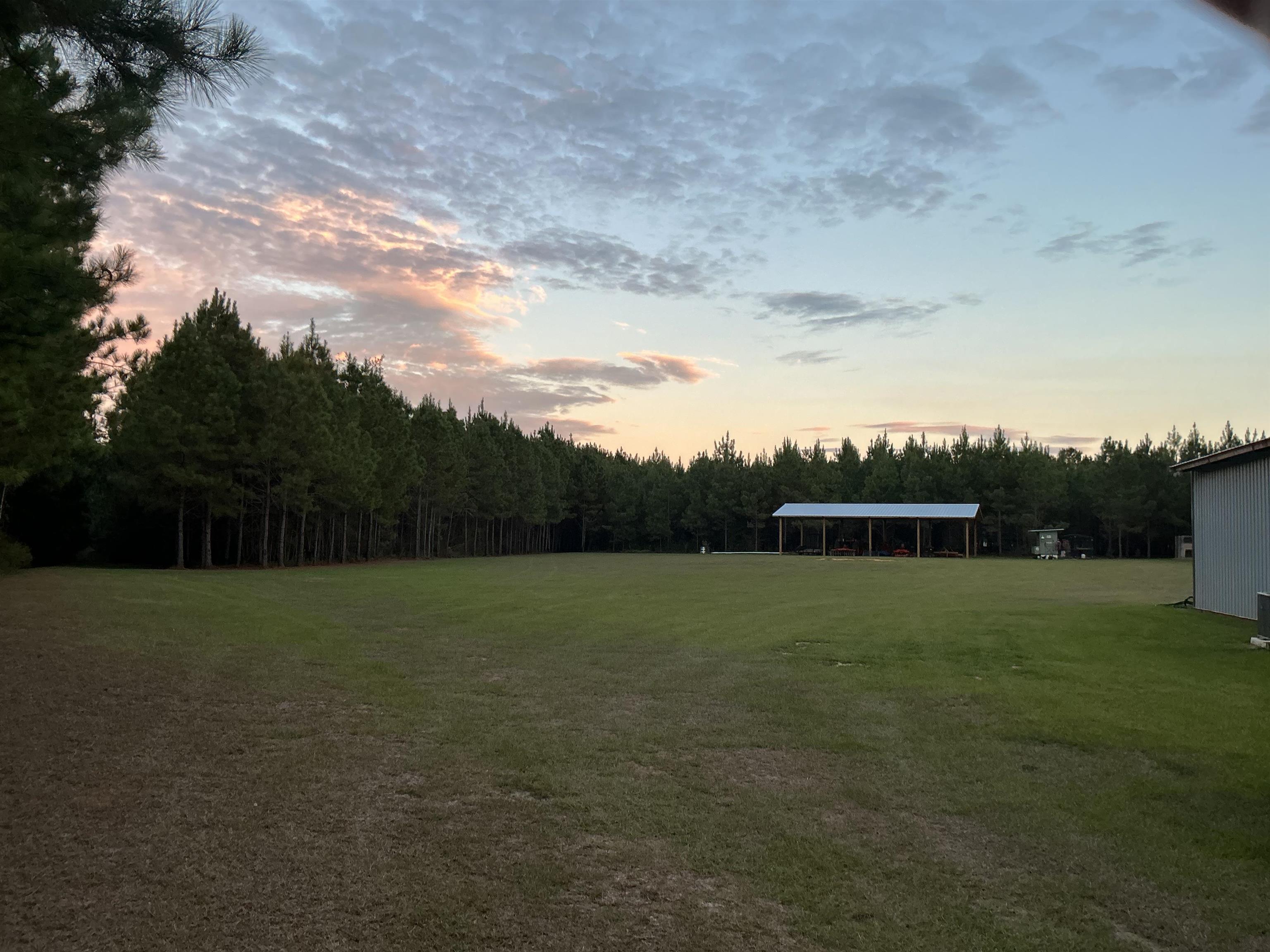 31769 Boston Road Dozier, AL 36028 - Photo 11 of 48 Gallery Image 11