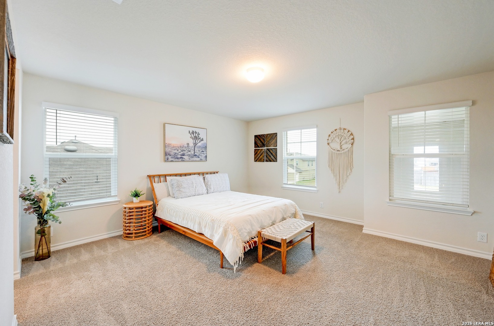 710 Overlook Ridge Cibolo, TX 78108 - Photo 28 of 50