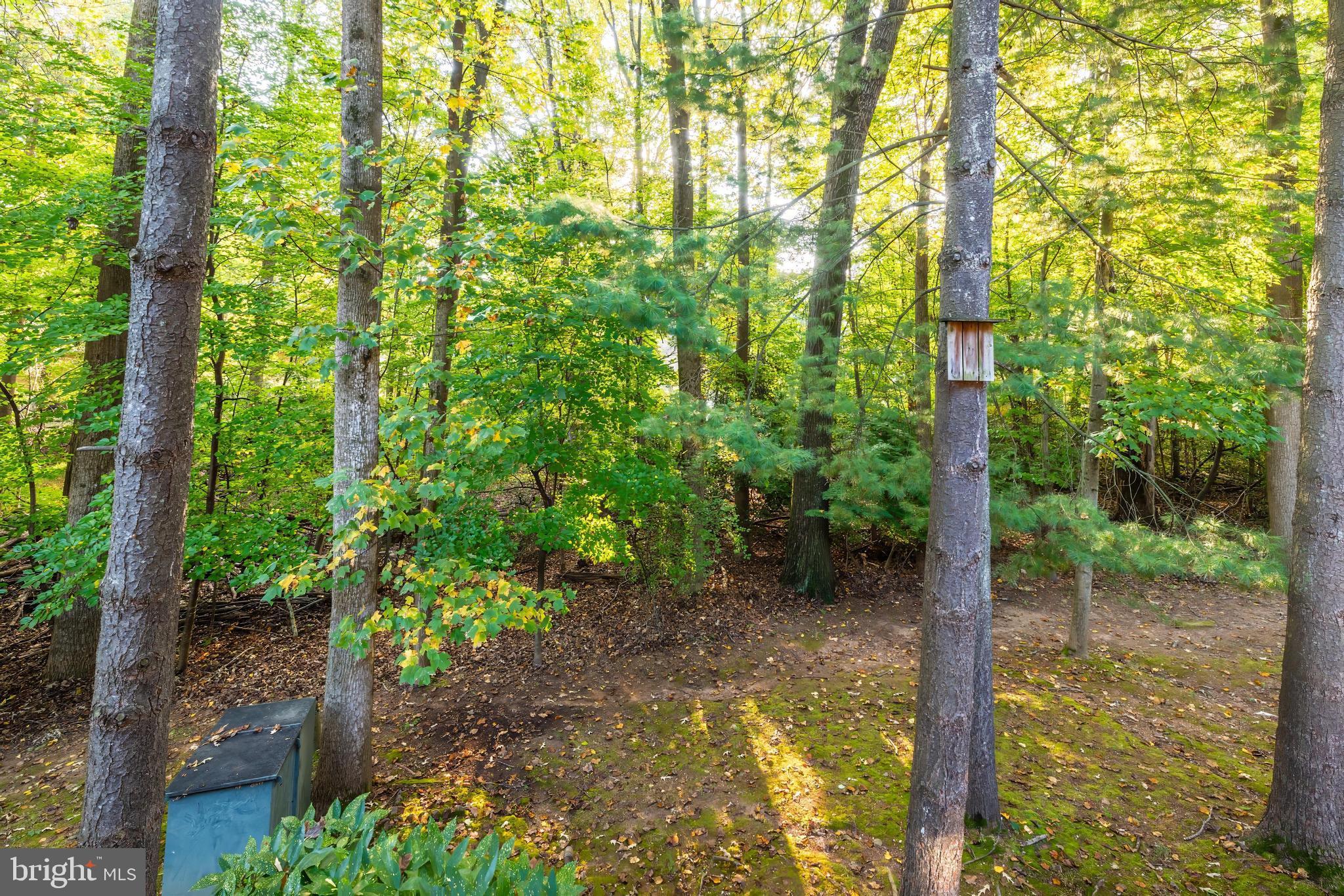 2375 Generation Drive Reston, VA 20191 - Photo 49 of 49