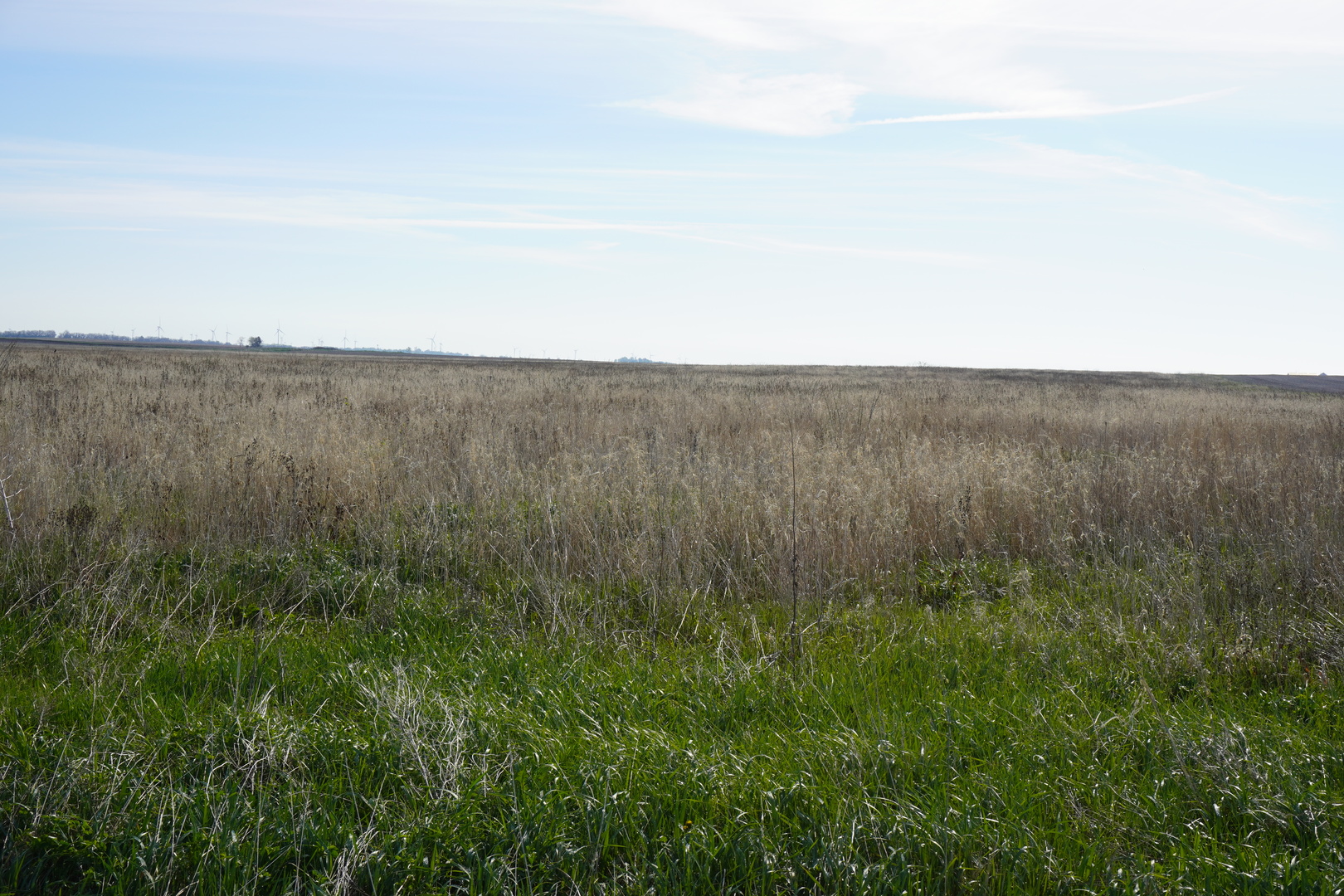 102 Acres /- East 1900 North Road Cullom, IL 60929 - Photo 5 of 16