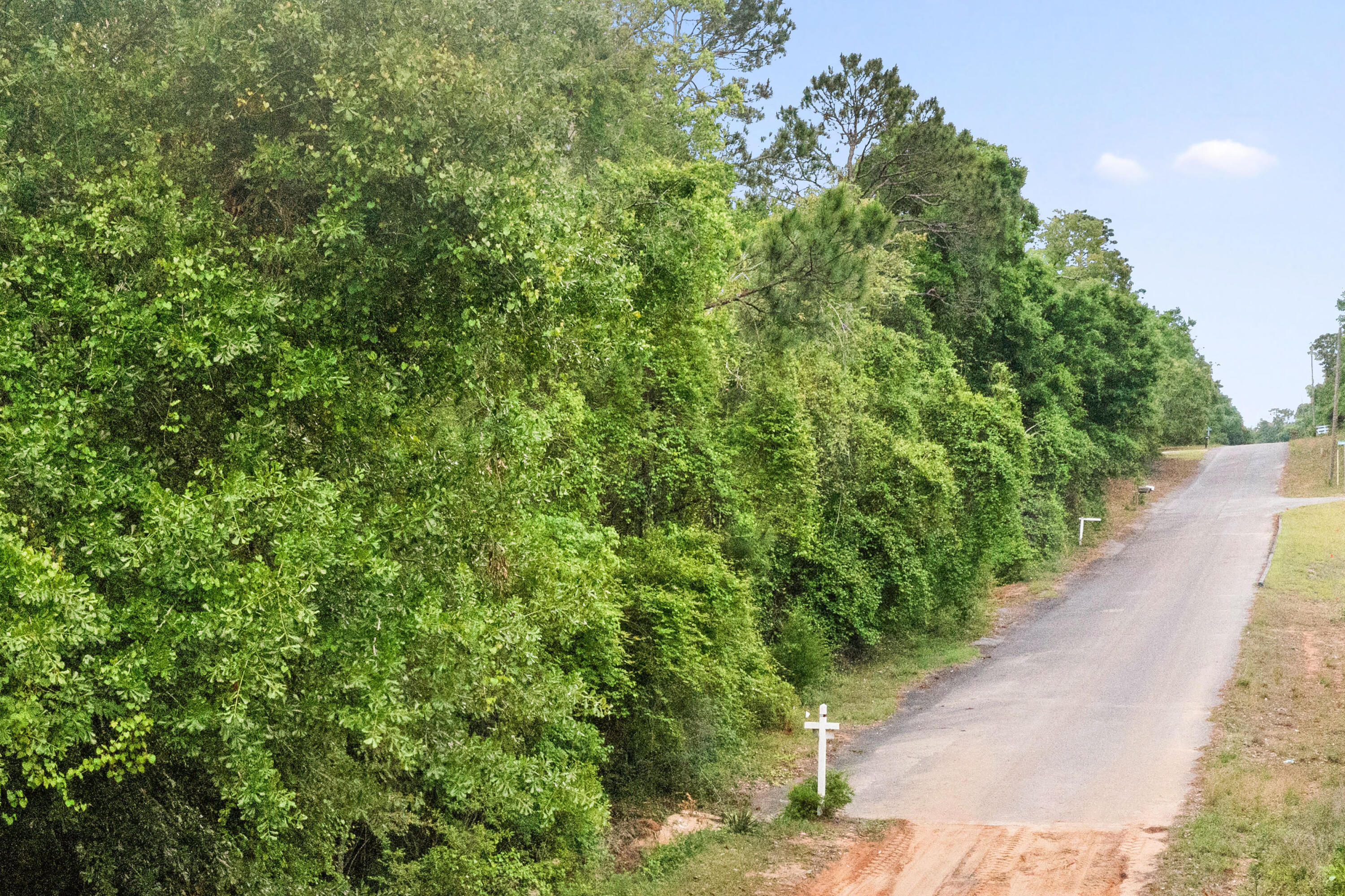 . Sam Carver Road Crestview, FL 32536 - Photo 15 of 27 SamCarverRdLand-Crestview-FL-015