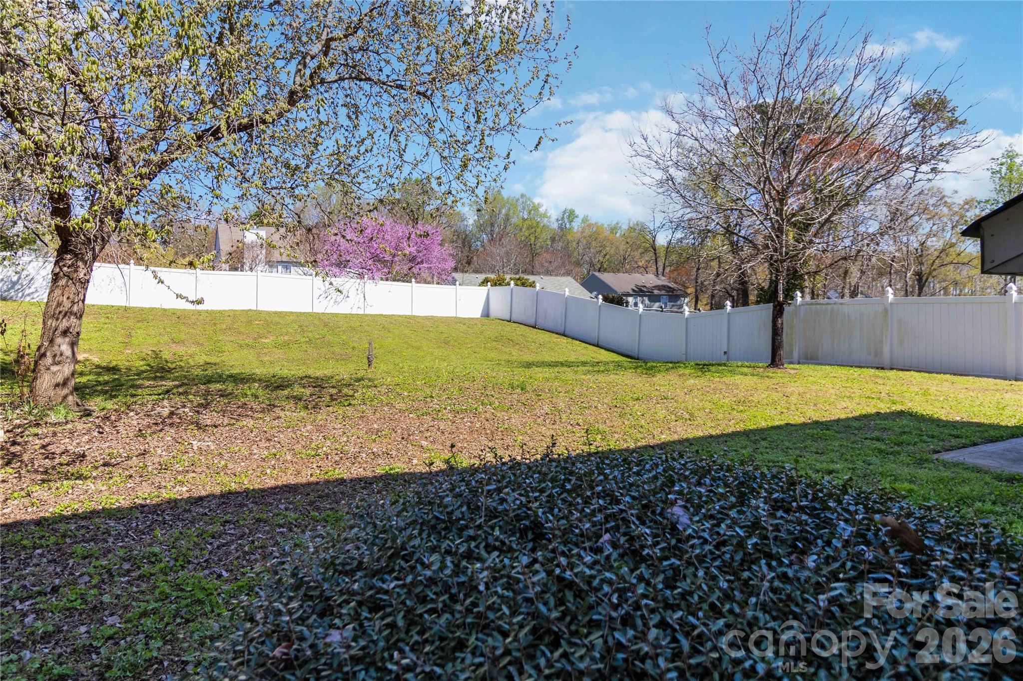 917 Poplar Forest Ridge Clover, SC 29710 - Photo 29 of 47