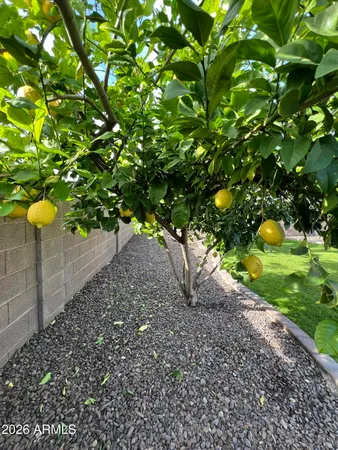 $475,000 | 6563 East Northridge Street, Mesa, AZ 85215