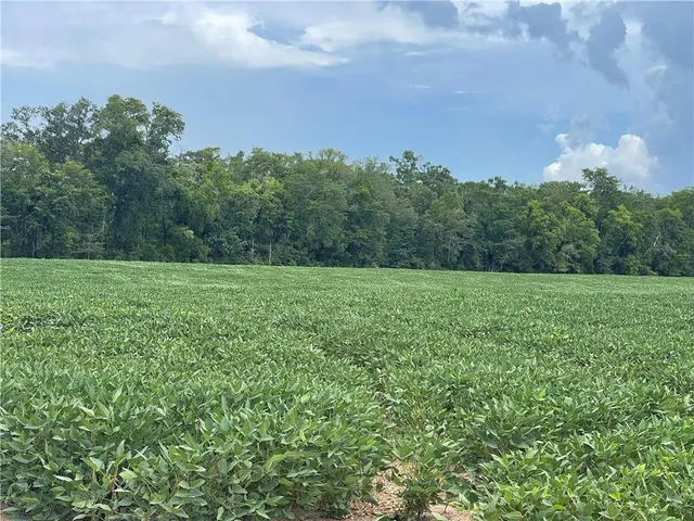 $875,000 | 0 Highway 71 Highway, Colfax, LA 71417