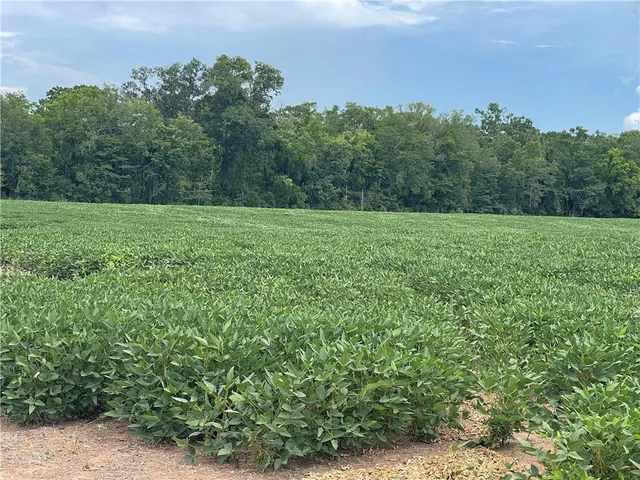 $875,000 | 0 Highway 71 Highway, Colfax, LA 71417