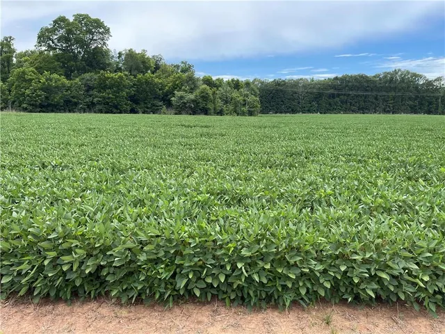 $875,000 | 0 Highway 71 Highway, Colfax, LA 71417