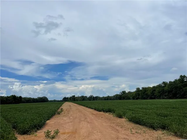 $875,000 | 0 Highway 71 Highway, Colfax, LA 71417