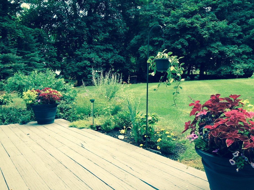 2 Kingman Road Acton, MA 01720 - Photo 26 of 28 a view of a garden with plants