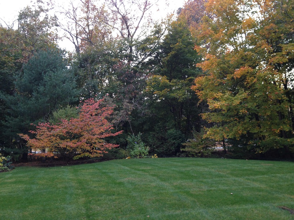 2 Kingman Road Acton, MA 01720 - Photo 27 of 28 a view of a backyard with large trees