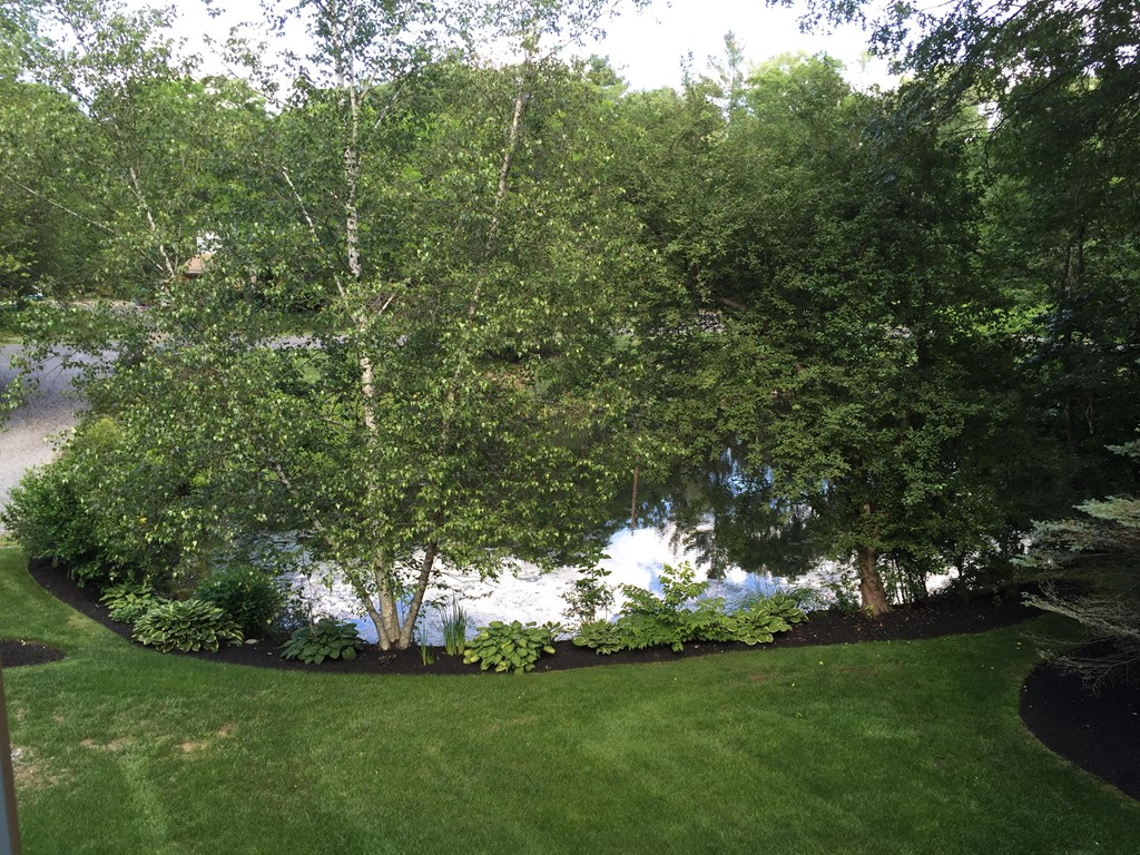 2 Kingman Road Acton, MA 01720 - Photo 28 of 28 a view of a trees with a yard