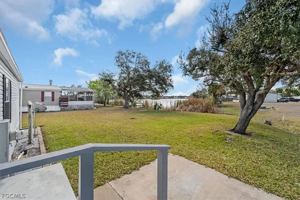 a view of a yard with large trees