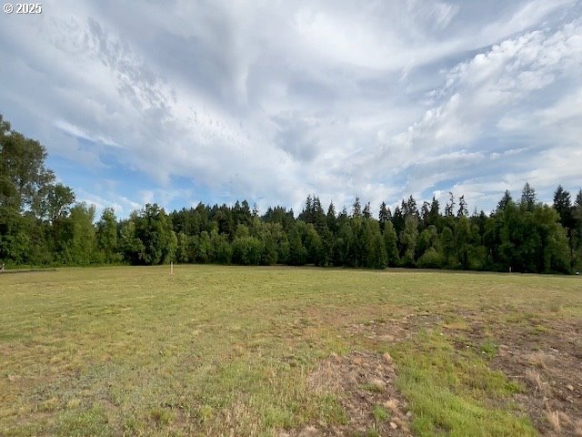 481 Southwest Oregon Falls Drive Dallas, OR 97338 - Photo 6 of 9 a view of a field with an trees in back