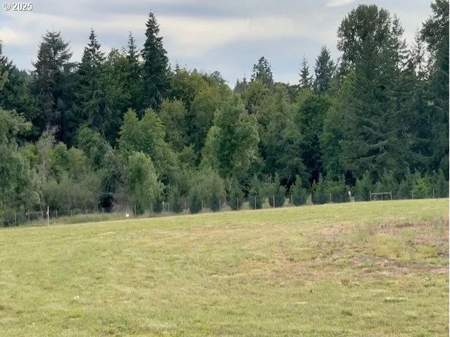 a view of an ocean from a yard