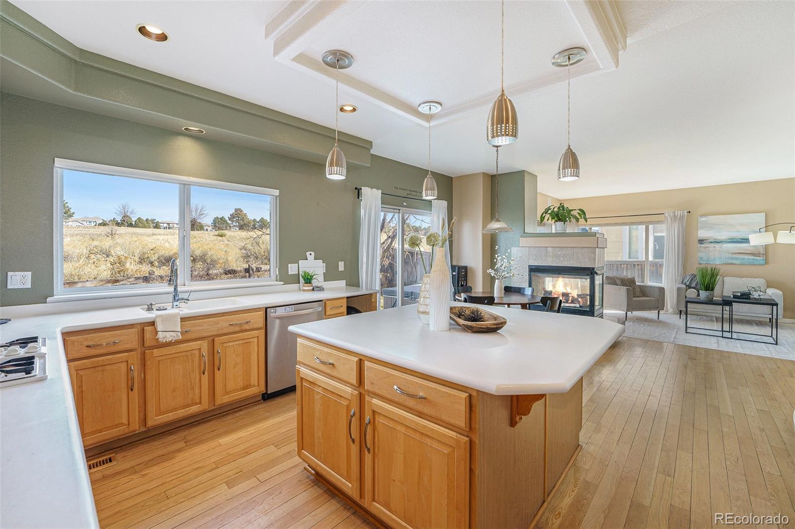 2571 West Bitterroot Place Highlands Ranch, CO 80129 - Photo 11 of 30