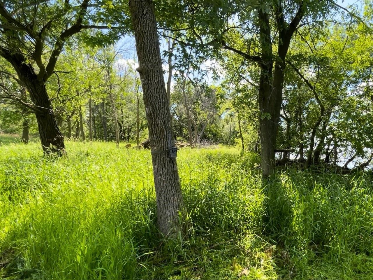 County Road, Unit 2 Winneconne, WI 54986 - Photo 2 of 10