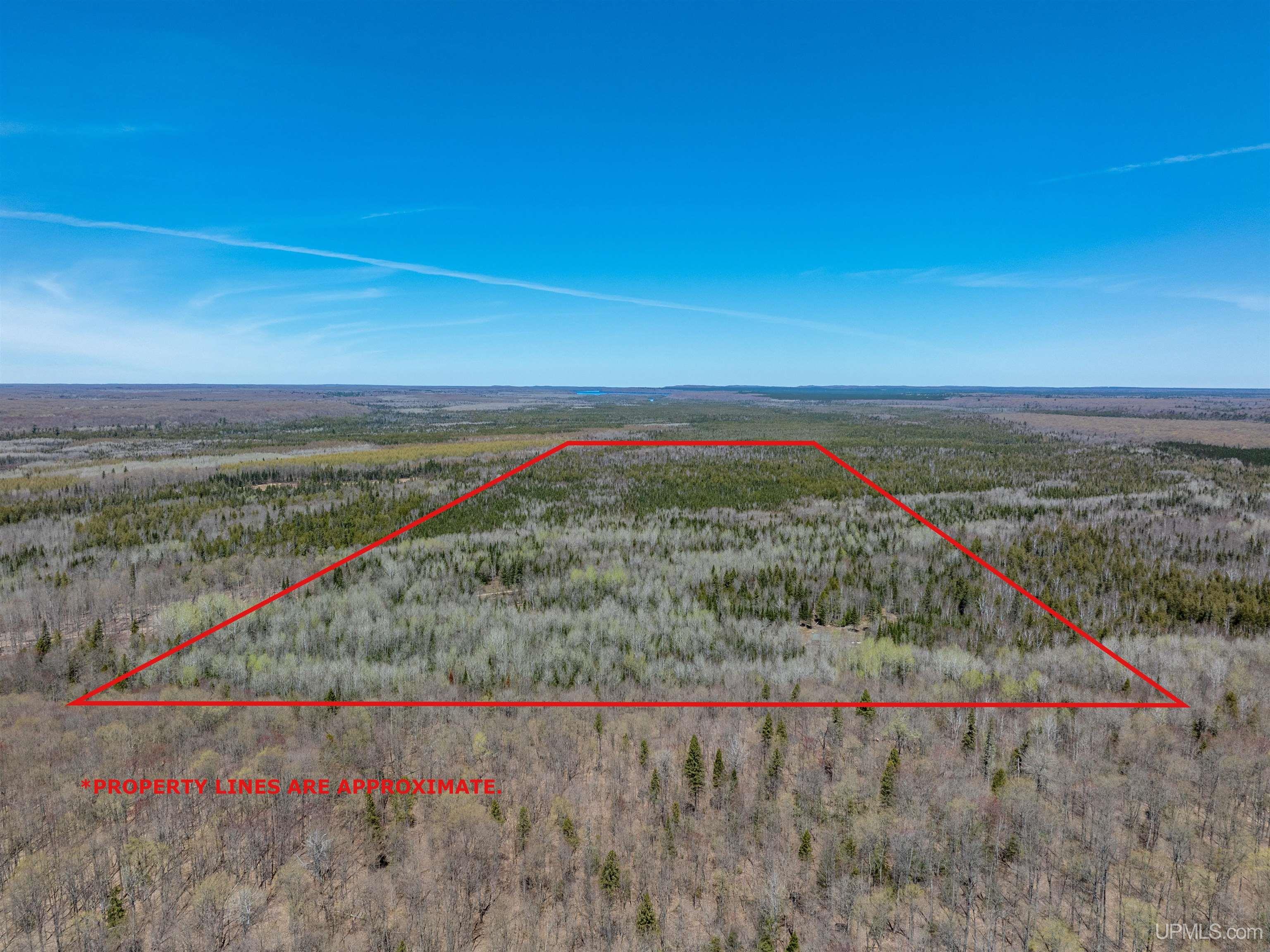 E4291 Walleye Road Chatham, MI 49816 - Photo 10 of 52