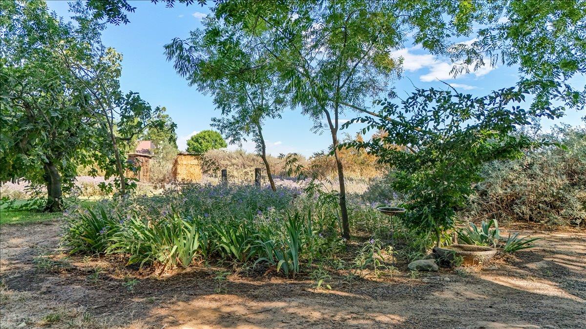 28937 Upper Road Newman, CA 95360 - Photo 45 of 58
