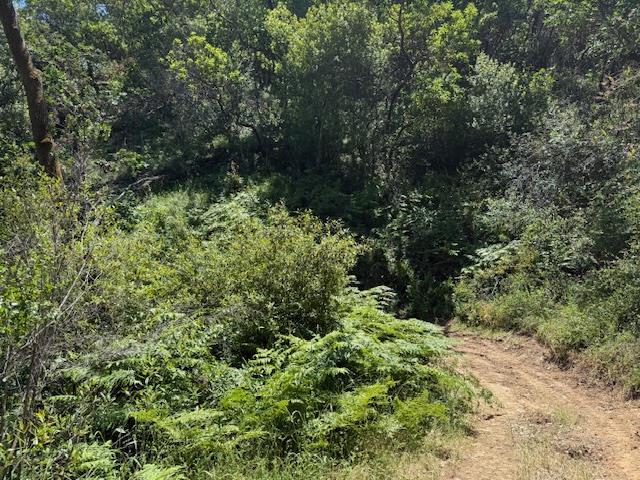 14056 Uvas Road Morgan Hill, CA 95037 - Photo 19 of 24