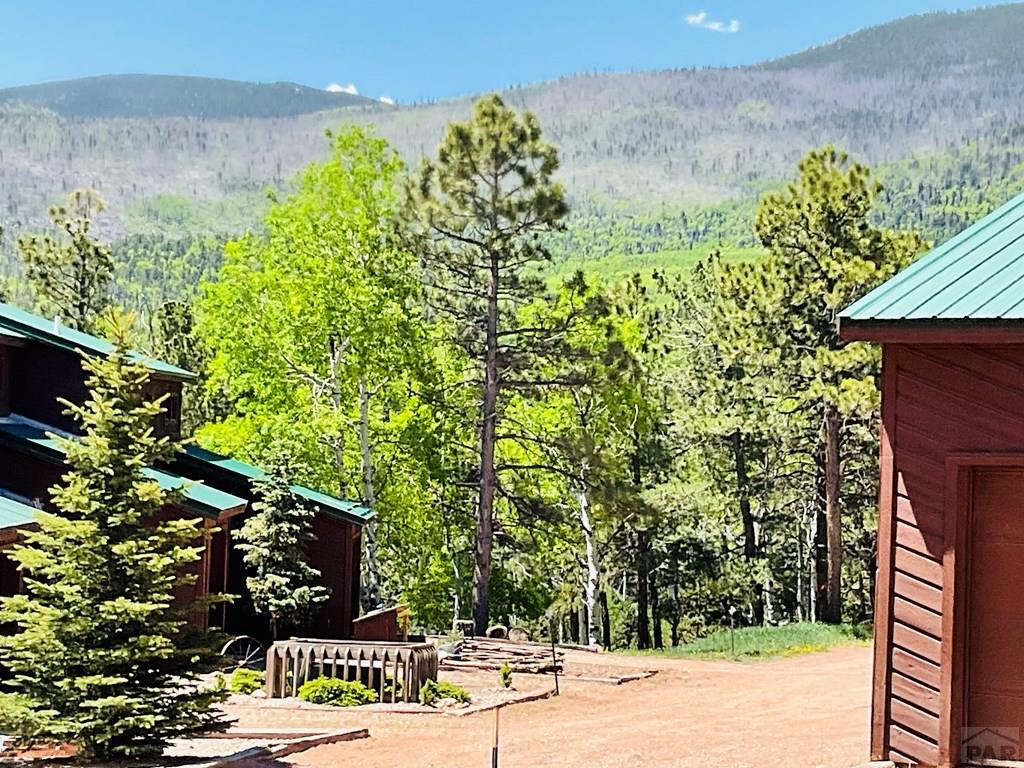 44 Valley Vista Road, Unit 35 La Veta, CO 81055 - Photo 40 of 42