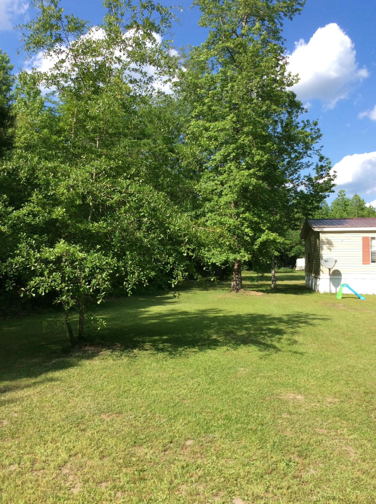 380 State Rd S-15-96 Round O, SC 29474 - Photo 19 of 20 image