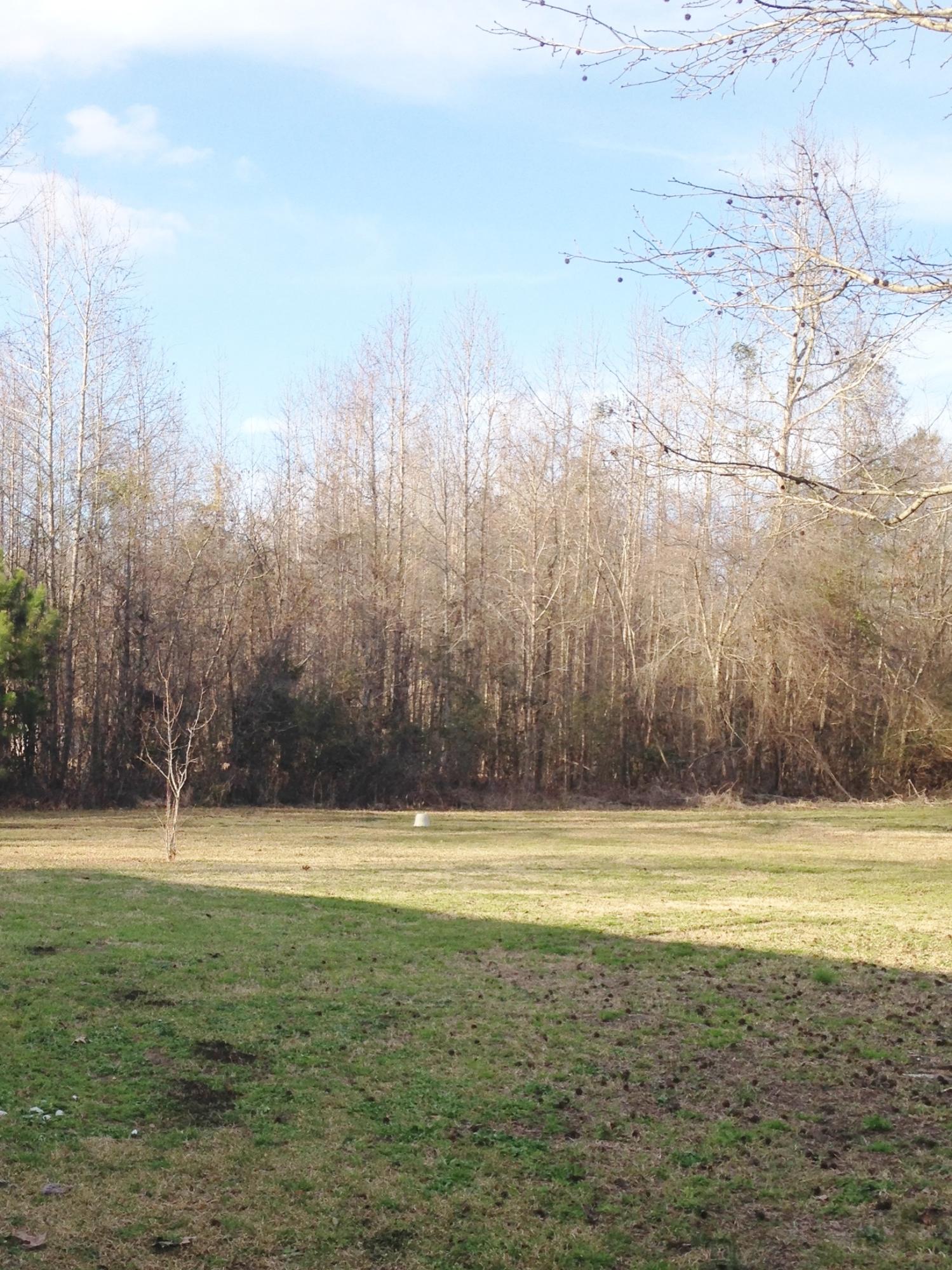 380 State Rd S-15-96 Round O, SC 29474 - Photo 20 of 20 IMG_3415