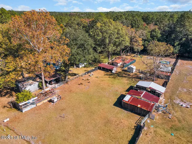 front view of a house with a large tree