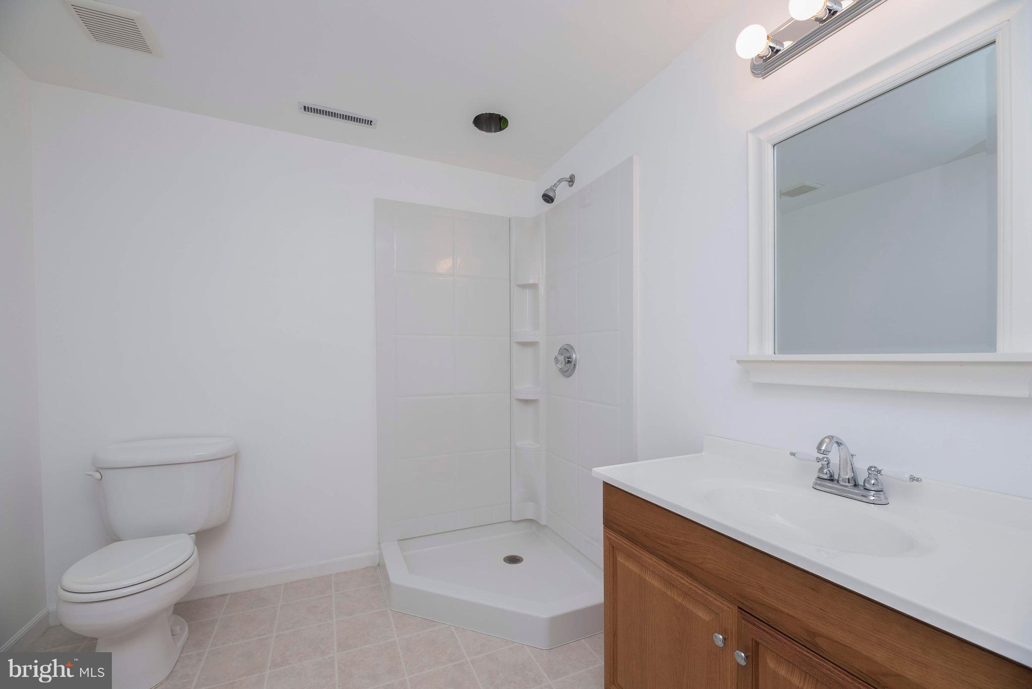 12605 Bristersburg Road Midland, VA 22728 - Photo 25 of 36 Full Bath on Lower Level