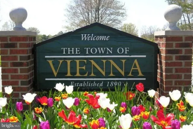 a front view of flowers