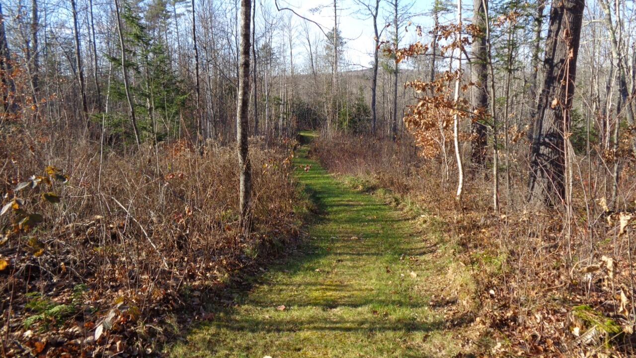 154 Blake Hill Road Mount Vernon, ME 04352 - Photo 48 of 63 mowed walking trails