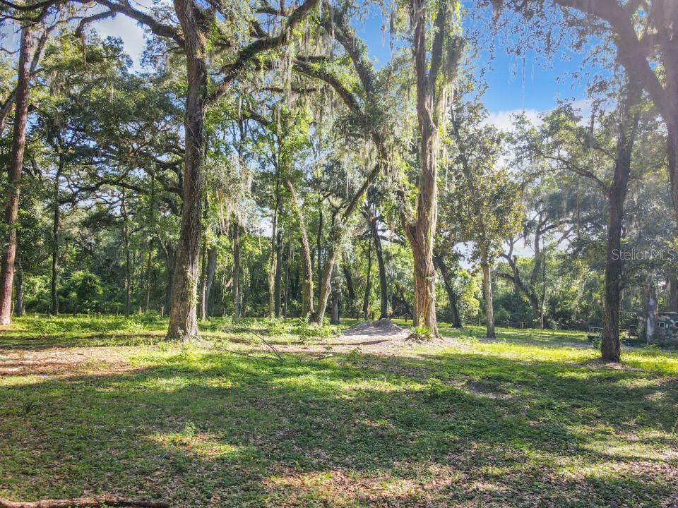 4544 County Road 673 Bushnell, FL 33513 - Photo 24 of 49