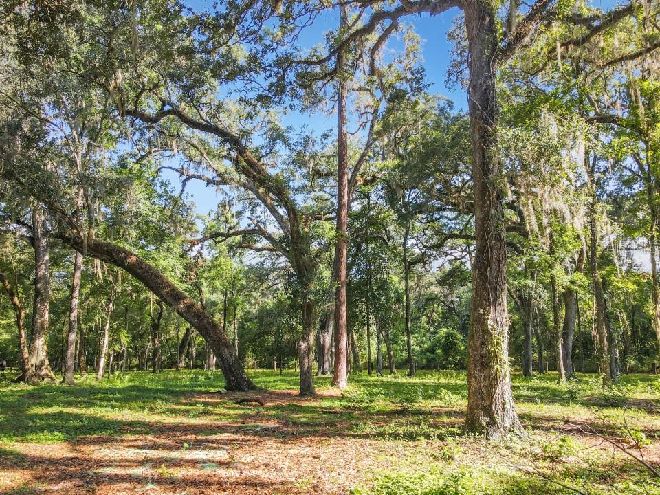 4544 County Road 673 Bushnell, FL 33513 - Photo 7 of 49