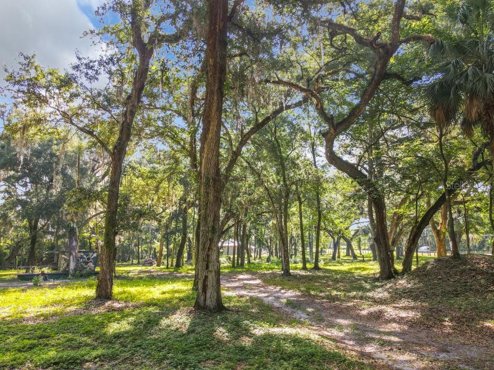 4544 County Road 673 Bushnell, FL 33513 - Photo 8 of 49