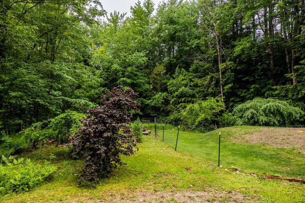 48 Blake Road Weare, NH 03281 - Photo 17 of 19